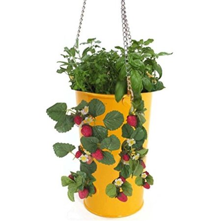 NEXT2NATURE Enameled Galvanized Hanging Strawberry; Floral Planter - Saffron NE904567